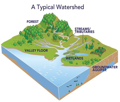 Certify Your Property Nurture Nature Foundation