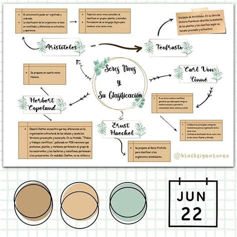 Mapas Conceptuales Aesthetic Kulturaupice Images