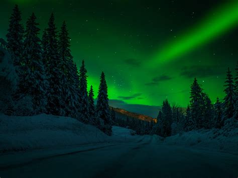 Norway Night Winter Snow Road Trees Trees Stars Stars Sky Polar Lights