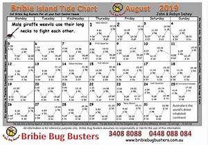 Tide Chart Bribie Island