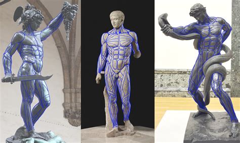 Art Inspo Anatomy Batman Statue Superhero Shit Happens Twitter