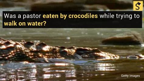 FACT CHECK Was A Pastor Eaten By Crocodiles While Trying To Walk On Water