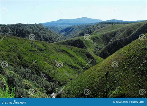 Africa The Mountain Plateau North Of Knysna South Africa Stock Image