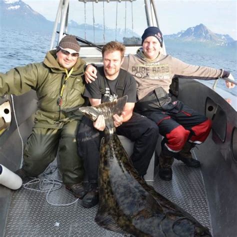 Sea Fishing In North Norway Tromsø Jaeger Adventure Camp