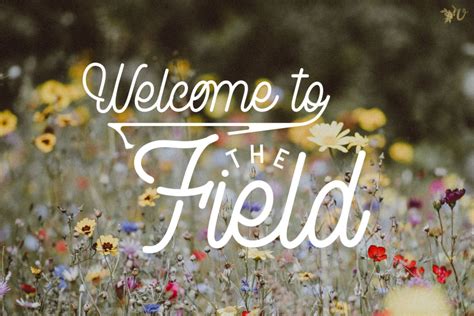 The Grove Word Prompt Welcome To The Field Velvet Ashes