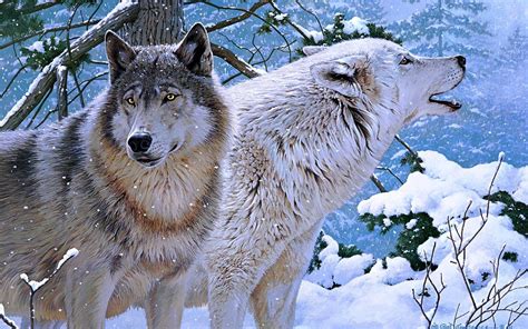Wolf Wallpapers Pictures Images