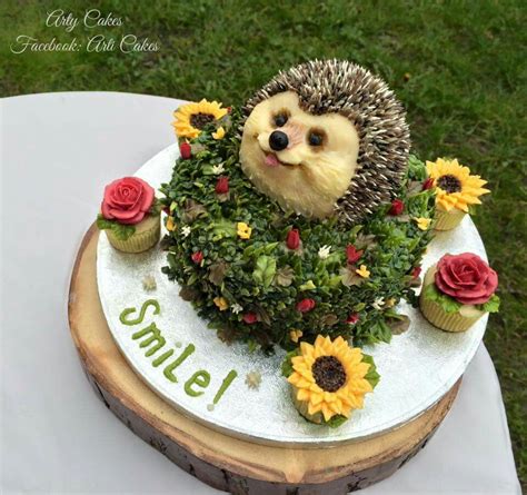 Hedgehog Birthday Cake Forest Theme Cakes Hedgehog Cake Hedgehog