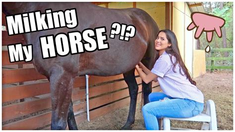Milking My Horse My Pregnant Horse Pt8 Youtube