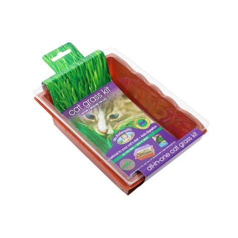 7 van ness grass for cats. Mr Fothergills Cat Grass Seed Raiser Kit | Bunnings Warehouse