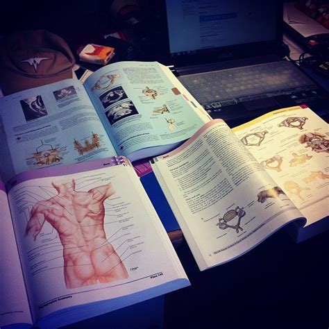 Human Anatomy Book For Mbbs Mbbs 1st Year Anatomy Important Topics