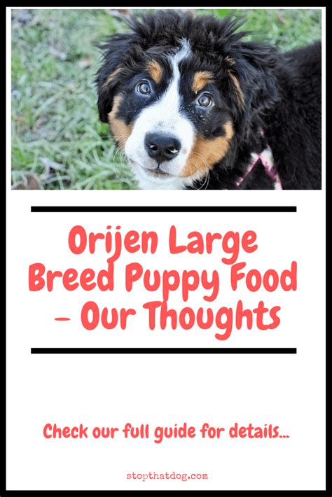 I bet you did that is why you are here. Orijen Large Breed Puppy Food - Our Thoughts - Stop That Dog!