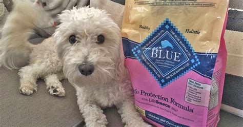 Life protection formula, chicken & brown rice. Blue Buffalo Senior Dog Food 15-Pound Bag Just $17 Shipped ...