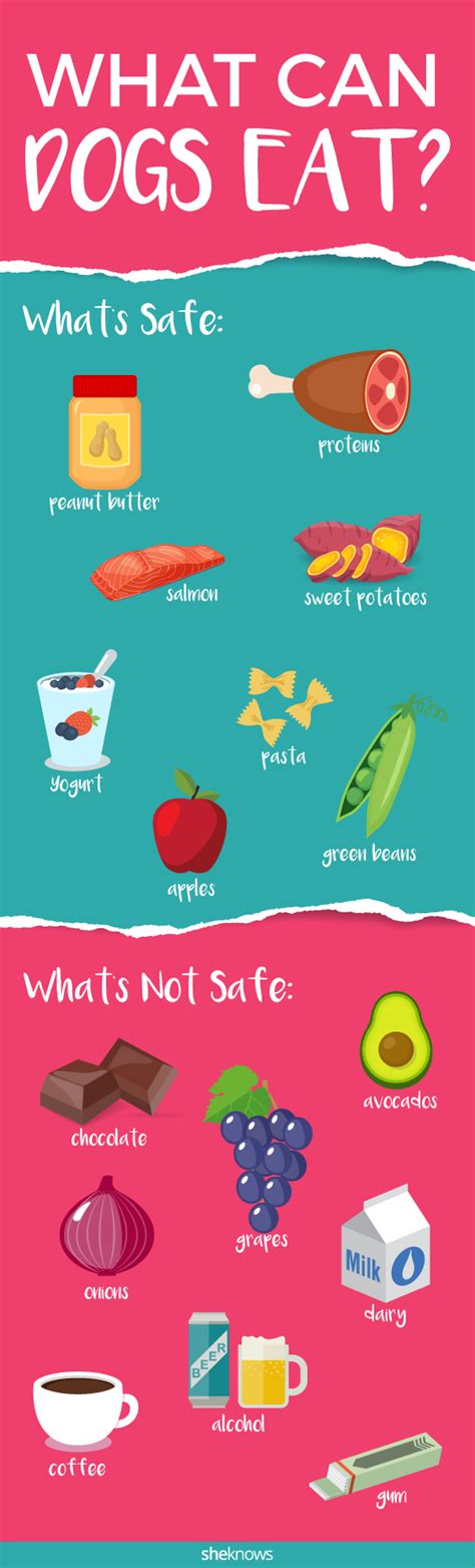 The Human Foods That Are Safe For Dogs Sheknows