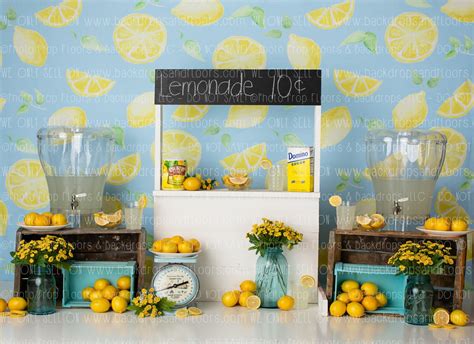 lemonade stand photography backdrop summer time lemon etsy