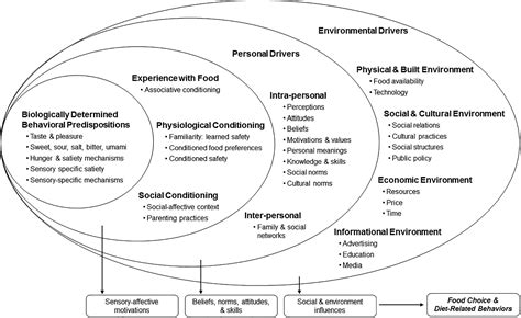 Sociocultural Influences On Food Choices And Implications For