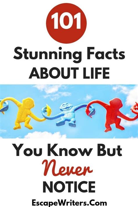 101 Interesting Facts About Life You Know But Dont Notice Escape