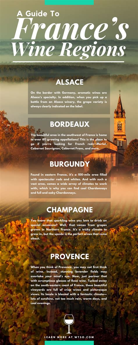 A Guide To Frances Wine Regions From The Vine