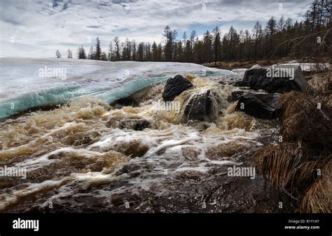 Rapid Spring Creek In South Yakutia Russia Stock Photo Alamy