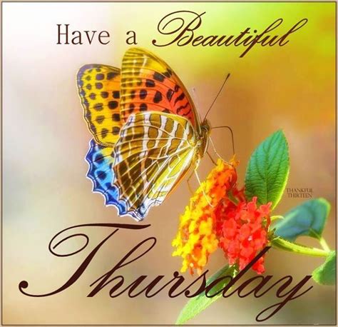 Have A Beautiful Thursday Pictures Photos And Images For Facebook