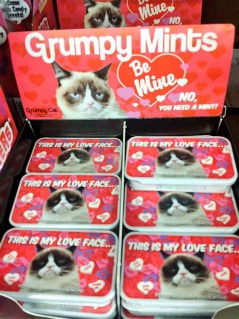 Pin By Suzanne O On Grumpy Cat ˆ ˆ Grumpy Cat Grumpy Cat Art Grumpy