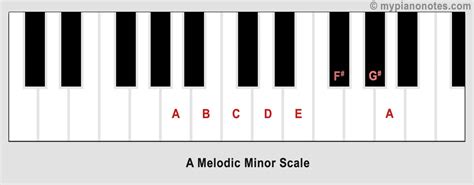 Piano Scales Complete Guide With Examples