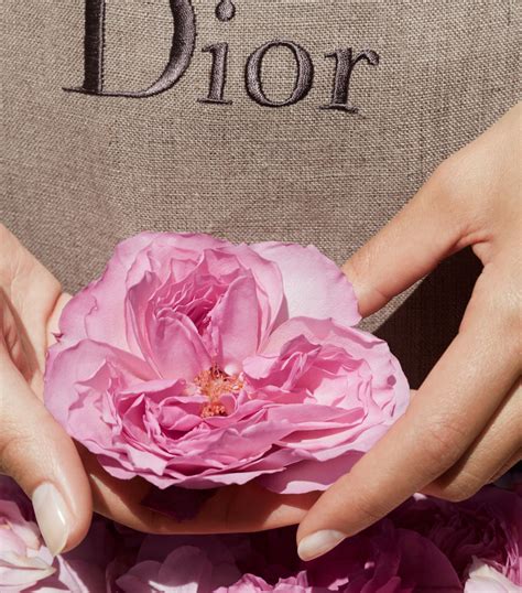 Dior Miss Dior Rose Nroses Eau De Toilette 150ml Harrods Uk