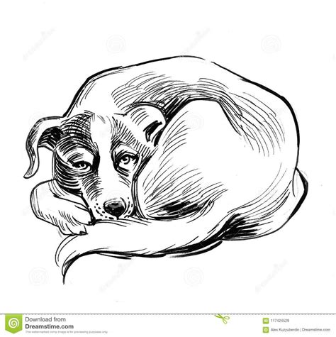 Sleeping dog. stock illustration. Illustration of drawing - 117424529 | Sleeping dogs, Sleeping ...