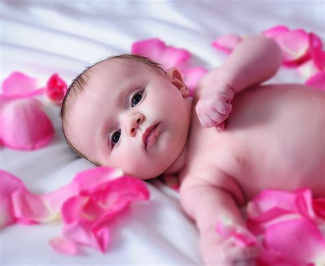 Rose And Photograph Wallpaper Cute Baby Desktop