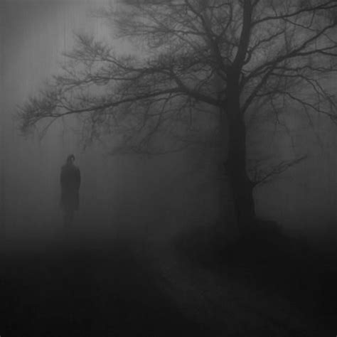 In The Fog Darkness Amazing Beautiful Black Darkness Falls Dark