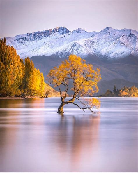 Wanaka Lake New Zealand 💛💛💛 Picture By Rachstewartnz Wonderful