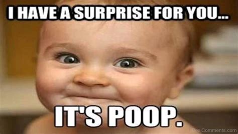 Poop Memes For Kids