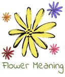 Forget Me Not Flower Meaning - Flower Meaning