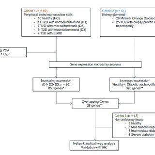 Overall Study Design And Workflow Transcriptome Profiling With Gene