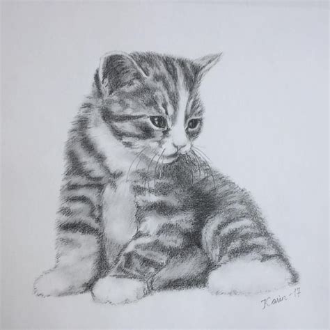 Cat Art Graphite Drawing By Karin Marjamaa Aireforceairedalesandart