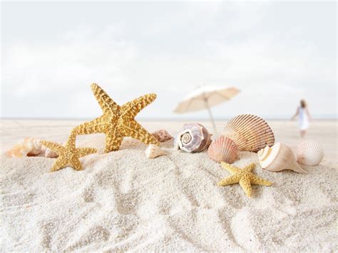 Beach Sand Starfish Seashells Depth Of Field Umbrellas Wallpaper