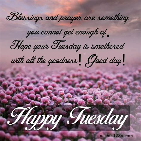 Tuesday Quotes Blessings And Images To Unlock Your Motivation Artofit