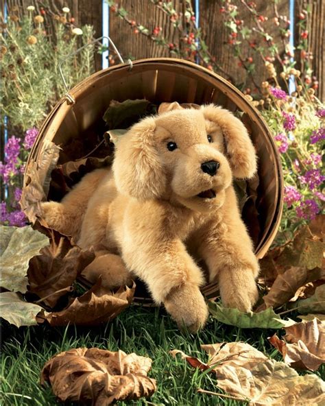 Golden Retriever Puppy Hand Puppet Toms Toys