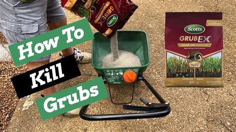 How To Kill Grubs In Your Lawn Scotts® Grubex® Youtube