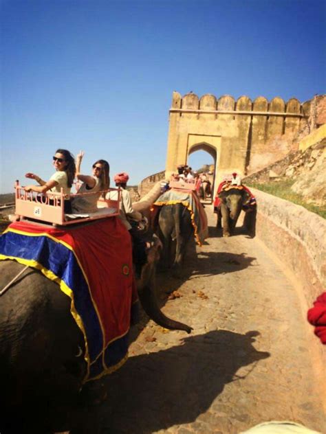 Paseo En Elefante En India Paseos Elefante