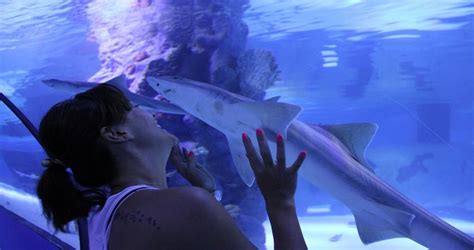 Antalya Aquarium Tour Up To 25 Off Biggest Aquarium In Turkey