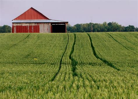 Last Word: Why Conservatives Should Fight the Farm Bill - Princeton Tory