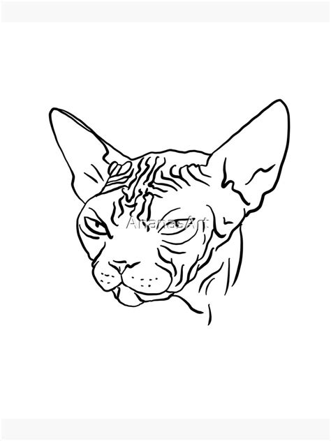 Wrinkly Grumpy Kitty Haarlose Sphynx Cat Line Art Tierzeichnung