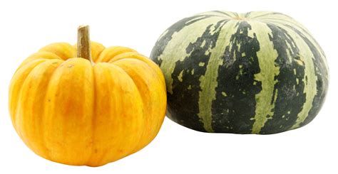 Pumpkins Png Image Purepng Free Transparent Cc0 Png Image Library