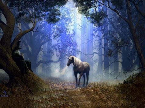 10 Magical Facts That Prove Unicorns Do Exist