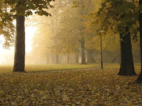 Early Autumn Foggy Morning Stock Image Image Of Path 5824729