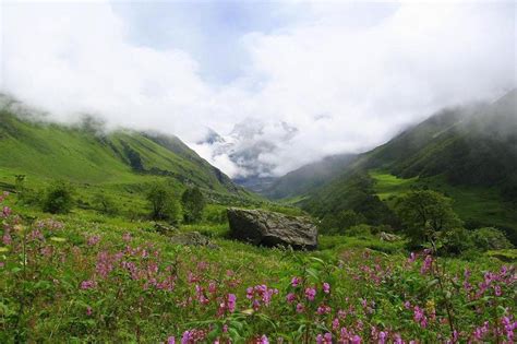 Valley Of Flowers An Enthralling Floral Trek