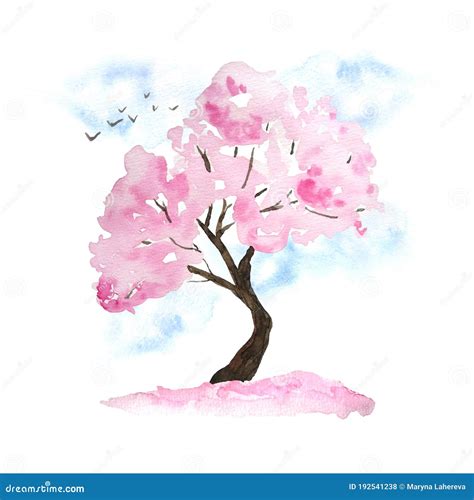 Acuarela Dibujo A Mano Ilustración De Diseño Del árbol De Sakura De