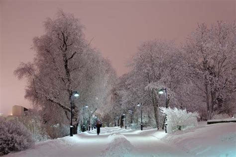 Helsinkis Uniquely Beautiful Winter Soul Thisisfinland