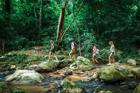 Group Of Tourists Hiking Through Deep Jungle In Thailand Beside Rocky Stream