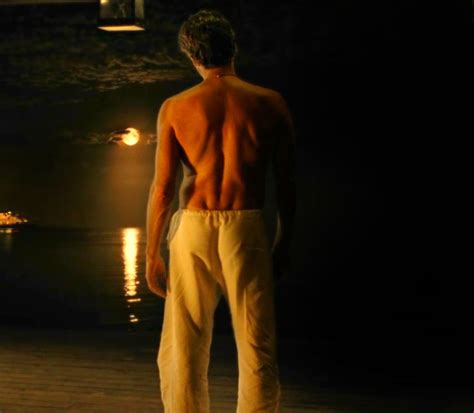Pierce Brosnan Shirtless In After The Sunset Pierce Brosnan Photo